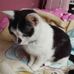 Laura Graczyk - Facebook