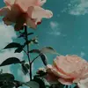 laura - @laura.grass - TikTok