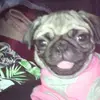 lauragrass12 - @lauragrass12 - TikTok