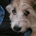 Laurie Greeley - Facebook