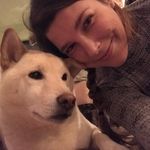 Laura Greig - @paintbot - Instagram
