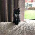 Laura Grieve - @laura.grieve.355 - Instagram