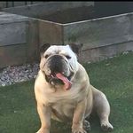 laura grigg - @laura50146 - Instagram