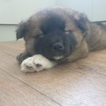 Laura Grigg - @grigg833 - Instagram