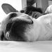 Laura Griner - Facebook