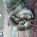 Laura Groth - Facebook