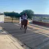 Laura.guesse - @laura.guesse - TikTok
