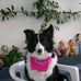 Maria Laura Guida - Facebook