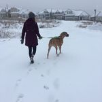 Laura Hagerman - @laurahagerman.spam - Instagram