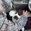 Laura Hagerman - @laurahagerman._ - TikTok