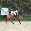 Laura Hammann942 - @laurahammann00 - TikTok