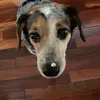 laurahammelmorris - @laurahammelmorris - TikTok