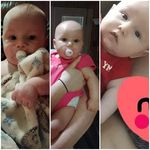 Laura Hammett Schlick Louthan - @llouthan2 - Instagram
