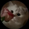 🍓Laura 🍓handmade paper - @laura_handmade_vlog - TikTok