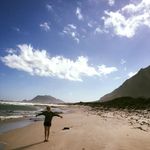 Laura Harbert - @lpchateau - Instagram