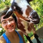 @laura.harerhomestead - Instagram