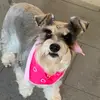laura - @laura_hare1 - TikTok