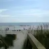 lauralynnhargis - @lauralynnhargis - TikTok