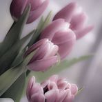 Laura Lou Hash - Facebook