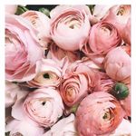 Laura Haslam - @haslam_laura - Instagram