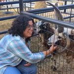 Laura Haslam - @lauralovessheep - Instagram