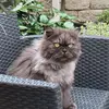laurahaslam243 - @laurahaslam243 - TikTok