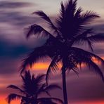 Laura HeiDer - Facebook