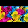 lauraheider606 - @lauraheider606 - TikTok