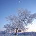 Laura Heilman - Facebook