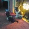 laura heilman - @lauraheilman57 - TikTok