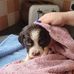 Laura Hemp - Facebook