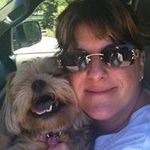 Laura Hepp Schechter - @schechterlaura - Instagram