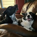Laura Herget Countouriotis - @lhcount - Instagram