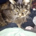 Laura Herren-Lund - Facebook