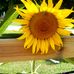 Laura Hetz - Facebook