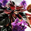laurahetz342 - @laurahetz342 - TikTok