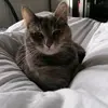 Laura Hey - @laurahey61 - TikTok