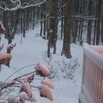 Laura Heyde Meyer - @lmeyer1713 - Instagram