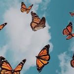 Laura Heyder - @laura.heyder.5 - Instagram