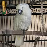 Laurie Higbee - @lhfarms - Instagram