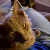 laurahight25 - @laurahight25 - TikTok