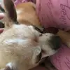 laurahightower - @laurahightower - TikTok