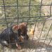 Laura Helman - Facebook