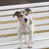 Laura Hinz - @laura.hinz1 - TikTok