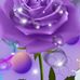 Laurie Hoffpauir Brown - Facebook