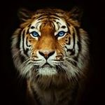 Laura Brown - @laura.hollenbeck - Instagram