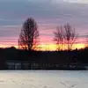 laurahollenbeck8 - @laurahollenbeck8 - TikTok