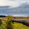 laura_holler03 - @laura_holler03 - TikTok