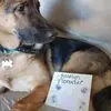 laurahollerback - @laurahollerback - TikTok