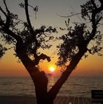 Laura Holscher - Facebook